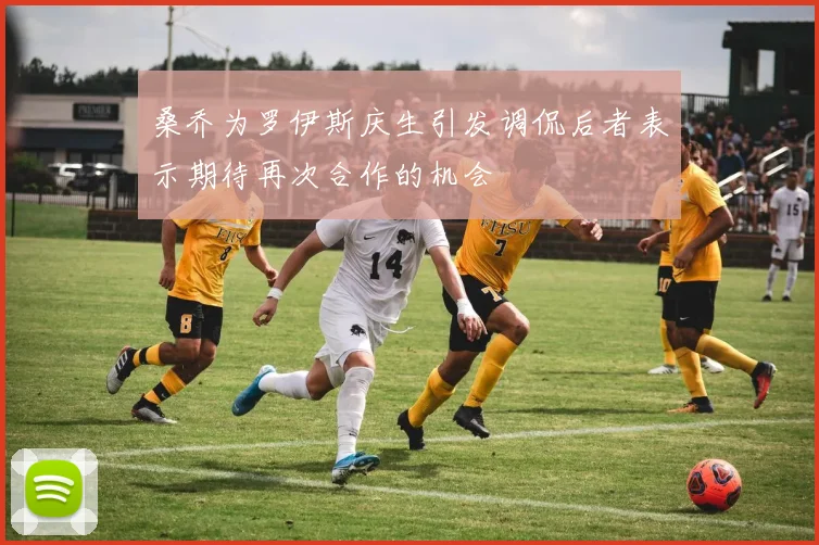 桑乔为罗伊斯庆生引发调侃后者表示期待再次合作的机会